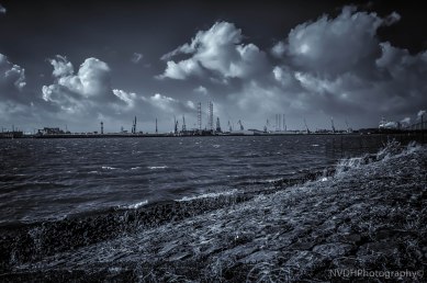 View on Maasvlakte - Rotterdam-4